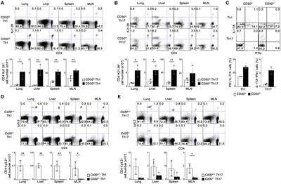 Essential Role for <mark class="highlighted">CD30</mark>-Transglutaminase 2 Axis in Memory Th1 and Th17 Cell Generation